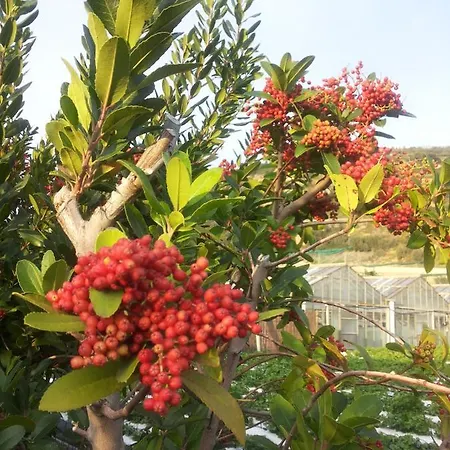 Relax Al Mare - Spiaggia, Bici E Barbecue! Casa de Férias Arma di Taggia