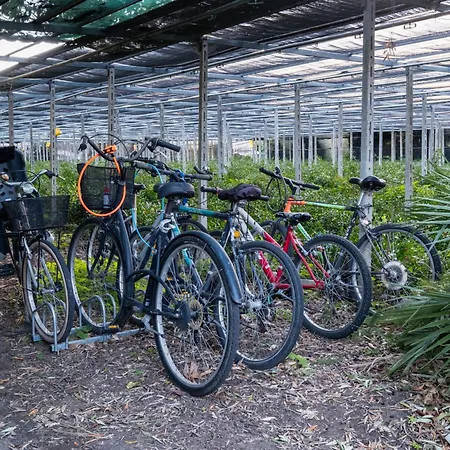 Relax Al Mare - Spiaggia, Bici E Barbecue!