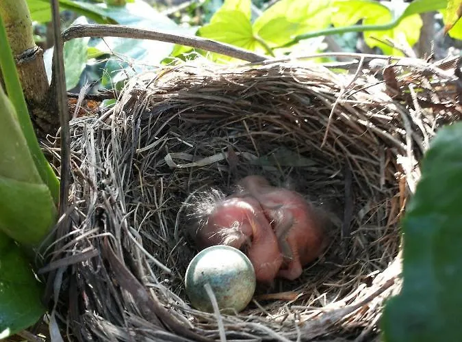 Relax Al Mare - Spiaggia, Bici E Barbecue!