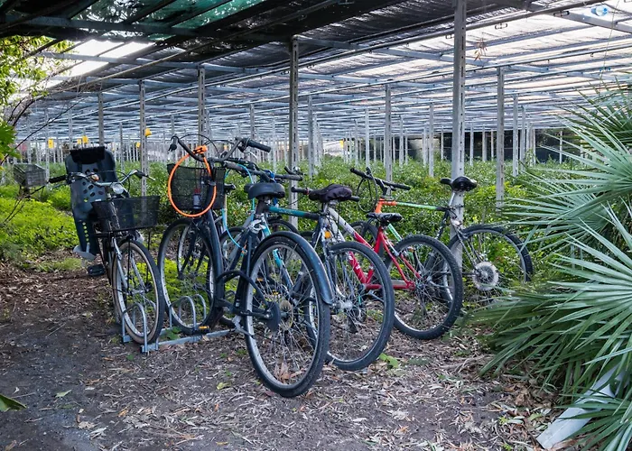 Relax Al Mare - Spiaggia, Bici E Barbecue!